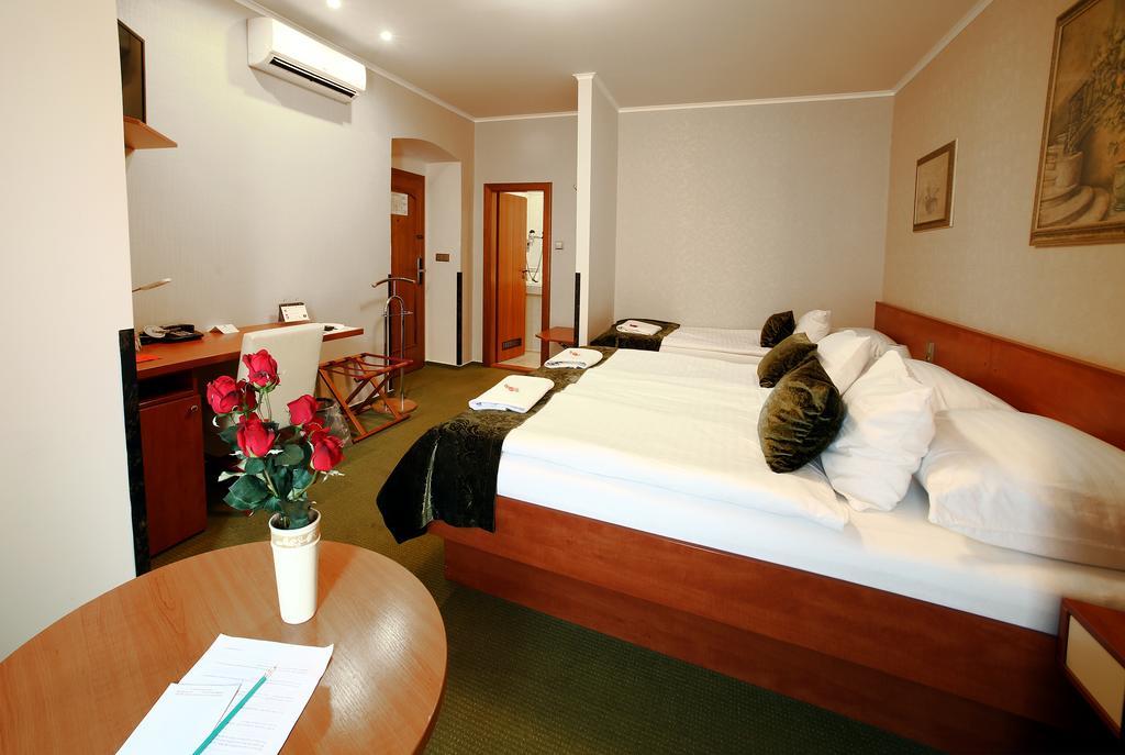 Roudna Hotel 3*